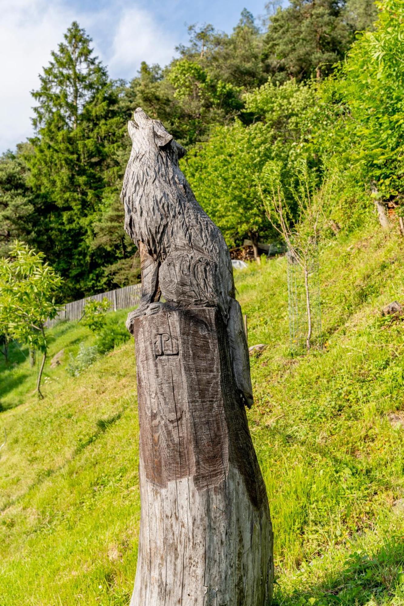 B&B Al Lupo Solitario Segonzano Zewnętrze zdjęcie